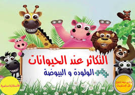 التكاثر عند الحيوانات